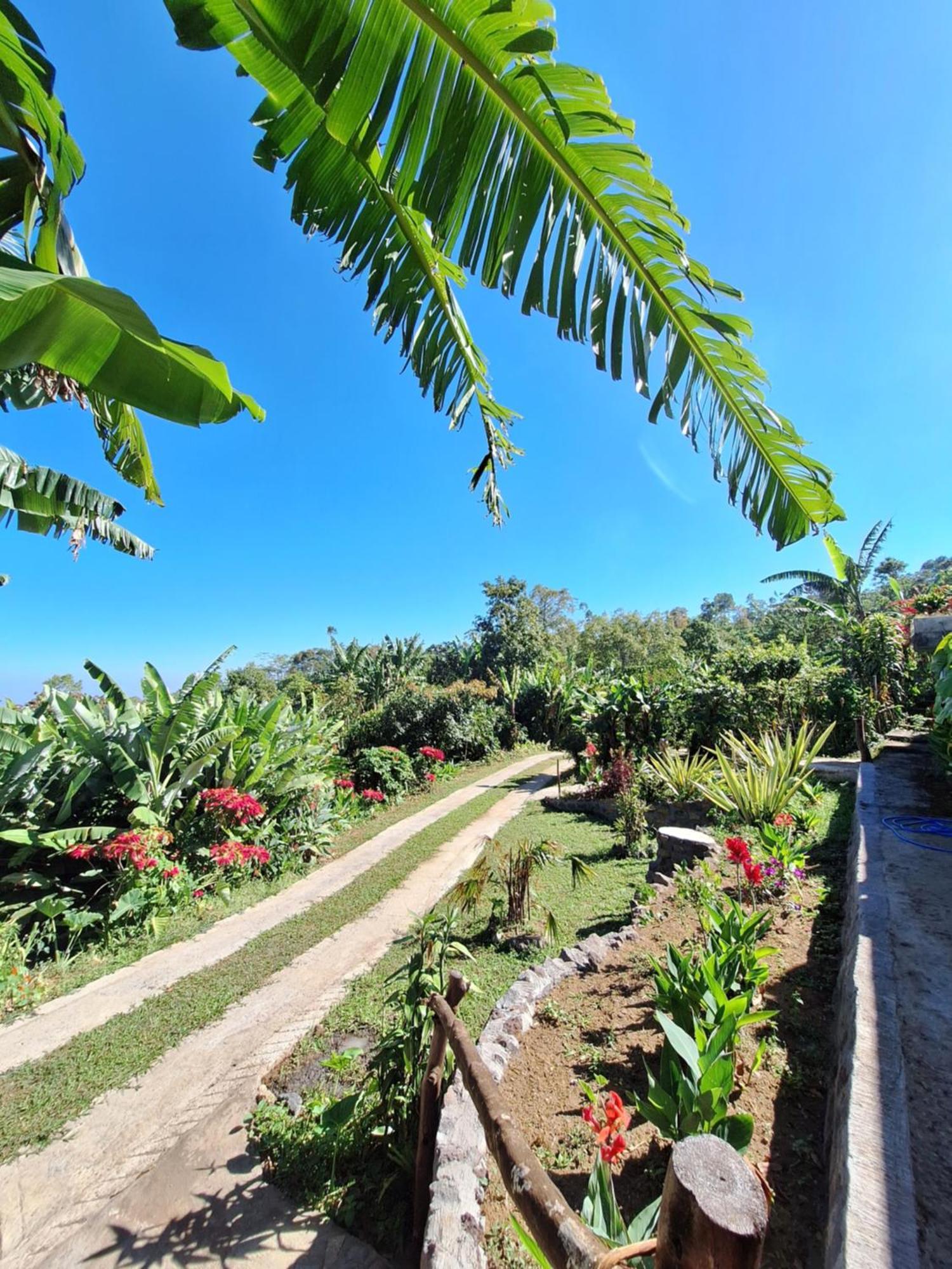 Manigelang Villa Munduk  Ngoại thất bức ảnh